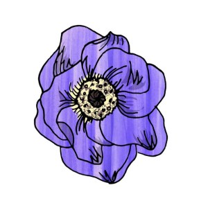 Anemone, Wedding Stationery, by Becky Lees