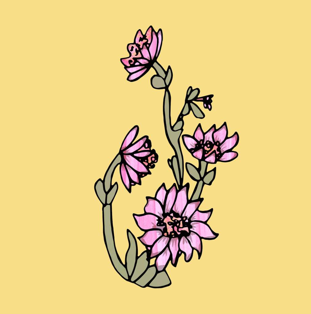 Wedding Flower portrait of Astrantia by Becky Lees