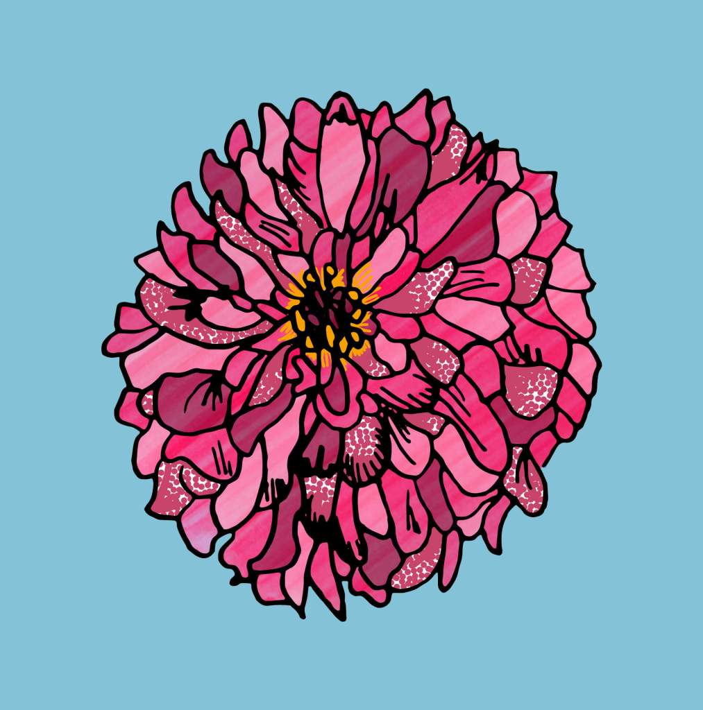 Wedding Flower Portrait of Zinnia by Becky Lees